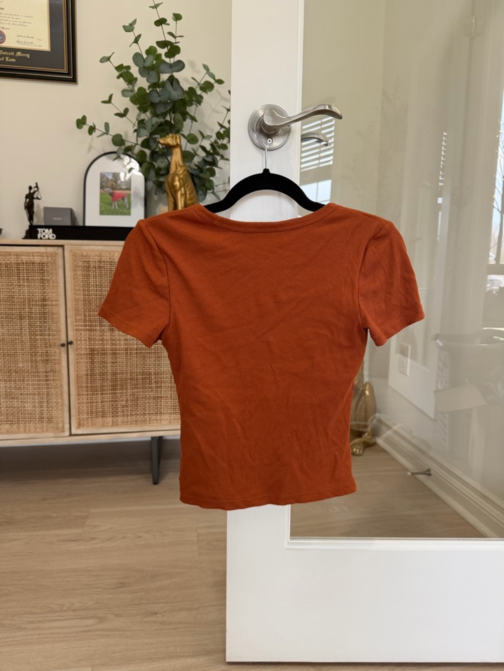 Klassy Network Rust V-Neck Ribbed Crop Top - Picture 2 of 4
